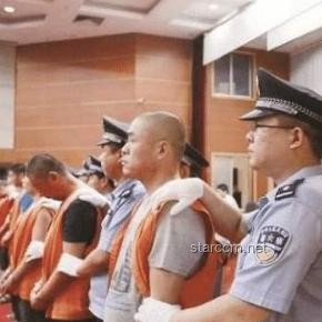 死缓制度下的执行选择：申请立即执行的深度剖析
